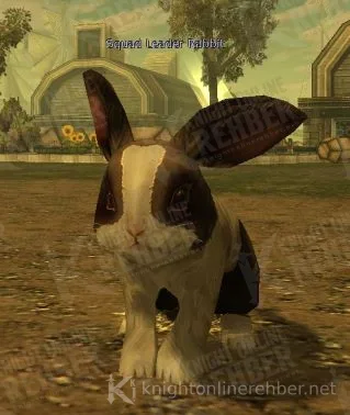 Squad Leader Rabbit NPC'si